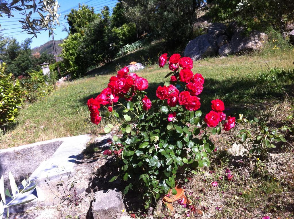 Al Vivenda Romantica Geres Luaran gambar